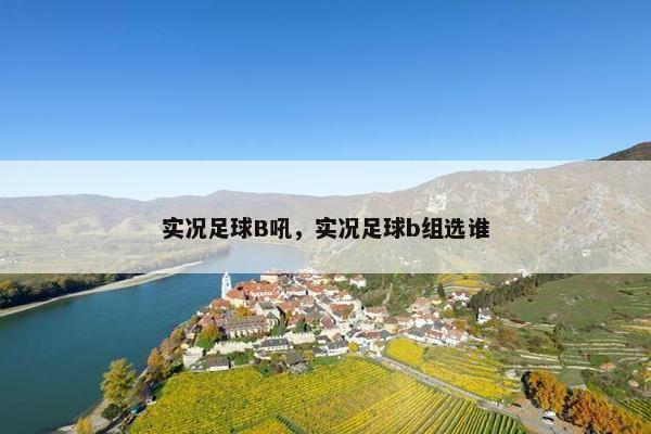 实况足球B吼，实况足球b组选谁