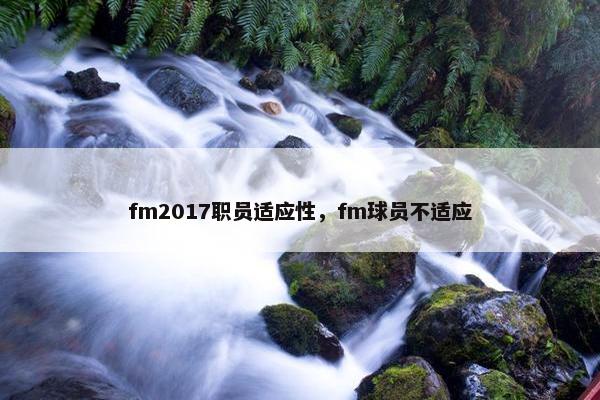fm2017职员适应性，fm球员不适应