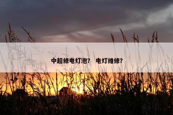中超修电灯泡？ 电灯维修？