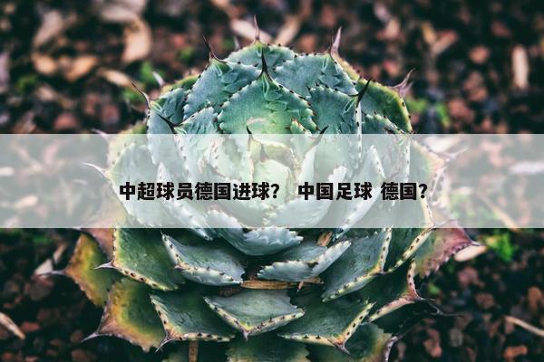 中超球员德国进球？ 中国足球 德国？