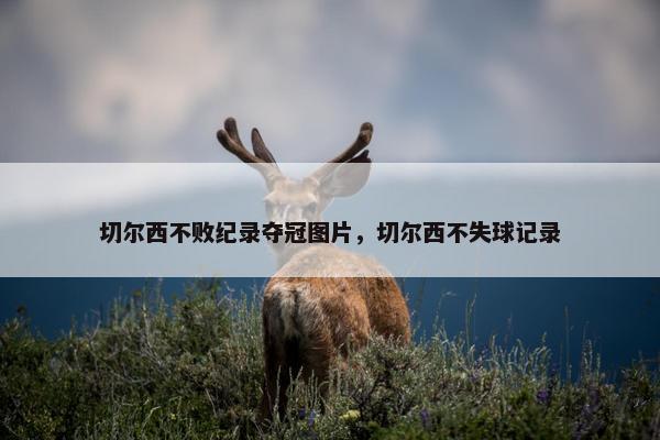 切尔西不败纪录夺冠图片，切尔西不失球记录