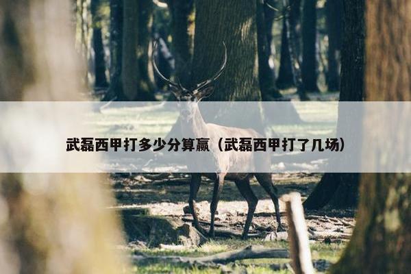 武磊西甲打多少分算赢（武磊西甲打了几场）