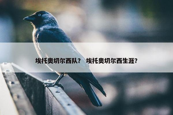 埃托奥切尔西队？ 埃托奥切尔西生涯？