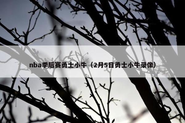 nba季后赛勇士小牛（2月5日勇士小牛录像）