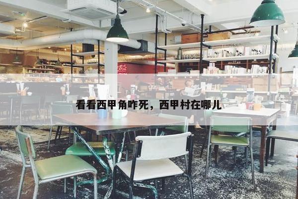 看看西甲角咋死，西甲村在哪儿