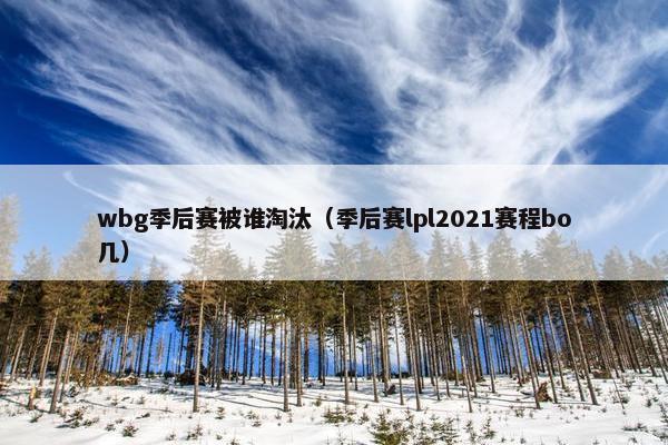 wbg季后赛被谁淘汰（季后赛lpl2021赛程bo几）