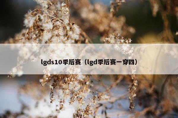 lgds10季后赛（lgd季后赛一穿四）