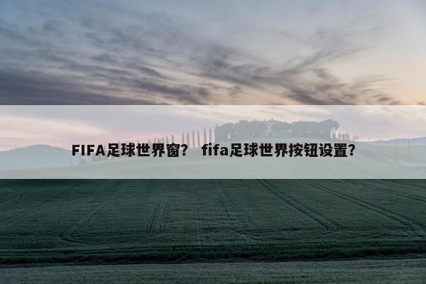 FIFA足球世界窗？ fifa足球世界按钮设置？