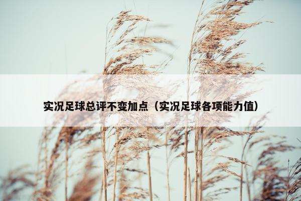 实况足球总评不变加点（实况足球各项能力值）