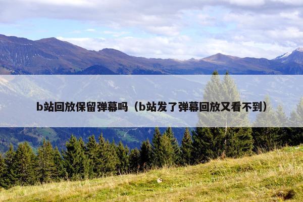 b站回放保留弹幕吗（b站发了弹幕回放又看不到）