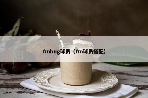 fmbug球员（fm球员搭配）