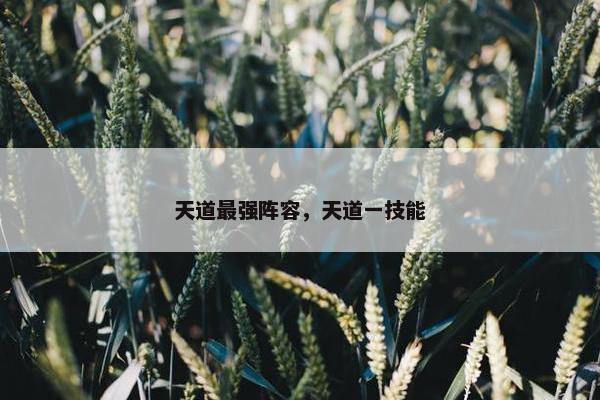 天道最强阵容，天道一技能