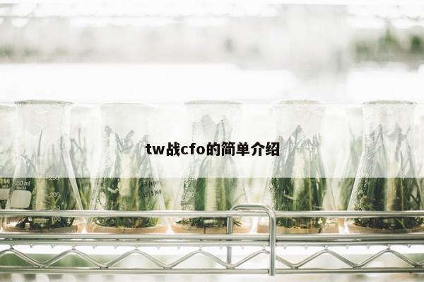 tw战cfo的简单介绍