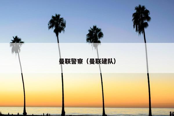 曼联警察（曼联建队）