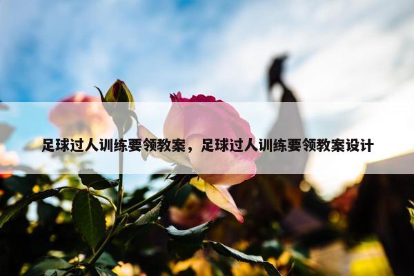 足球过人训练要领教案，足球过人训练要领教案设计