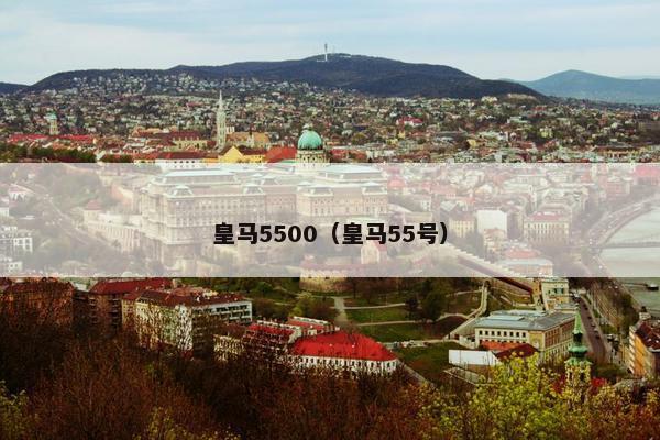 皇马5500（皇马55号）