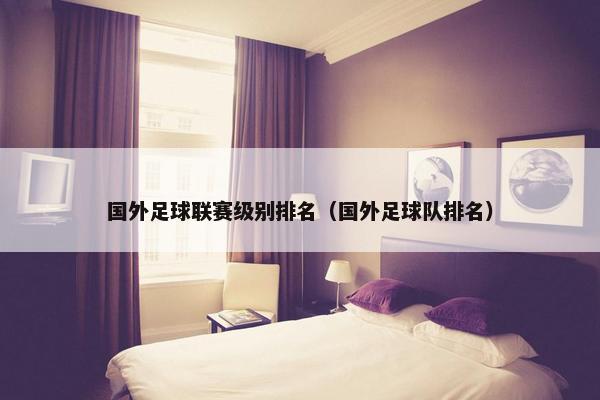 国外足球联赛级别排名（国外足球队排名）
