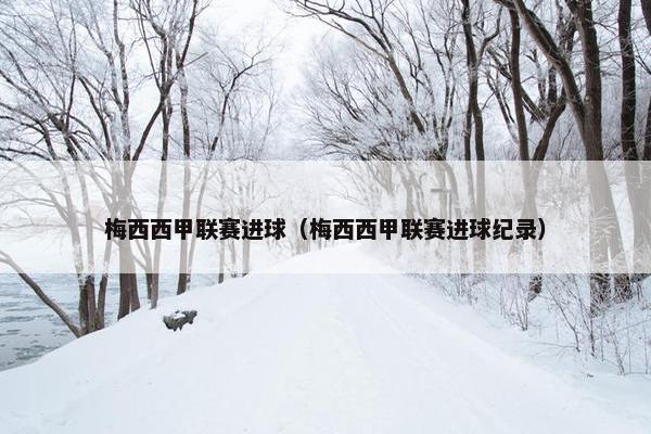 梅西西甲联赛进球（梅西西甲联赛进球纪录）