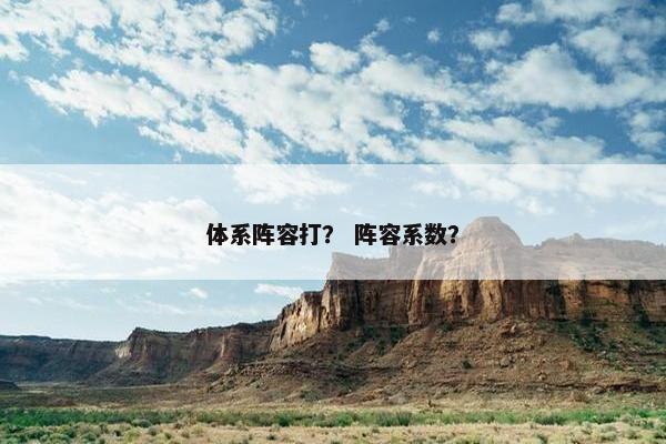体系阵容打？ 阵容系数？