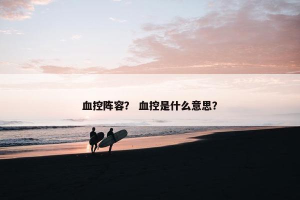 血控阵容？ 血控是什么意思？