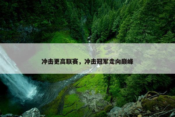 冲击更高联赛，冲击冠军走向巅峰