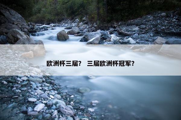 欧洲杯三届？ 三届欧洲杯冠军？