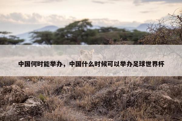 中国何时能举办，中国什么时候可以举办足球世界杯