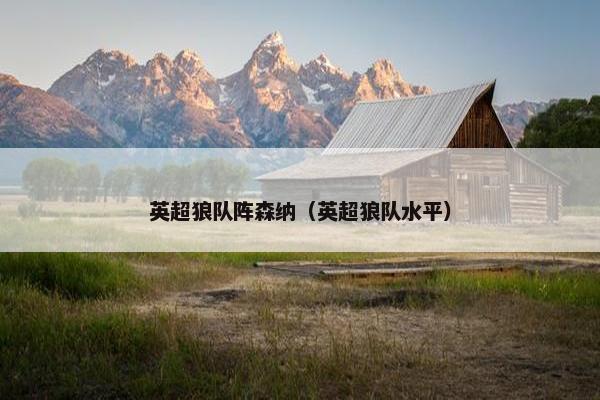 英超狼队阵森纳（英超狼队水平）