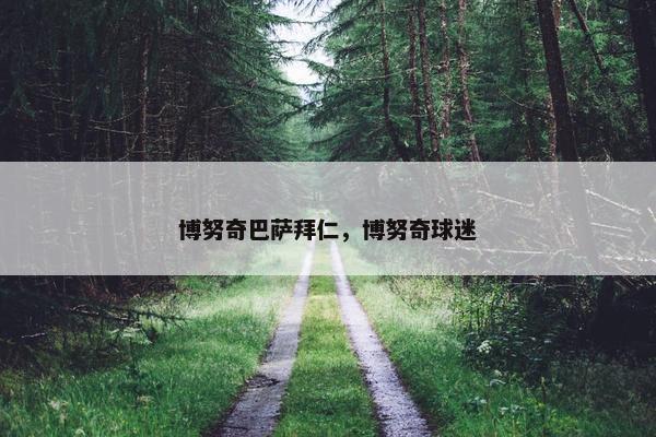 博努奇巴萨拜仁，博努奇球迷