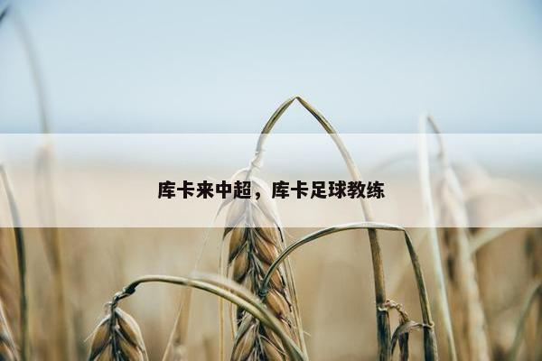 库卡来中超，库卡足球教练