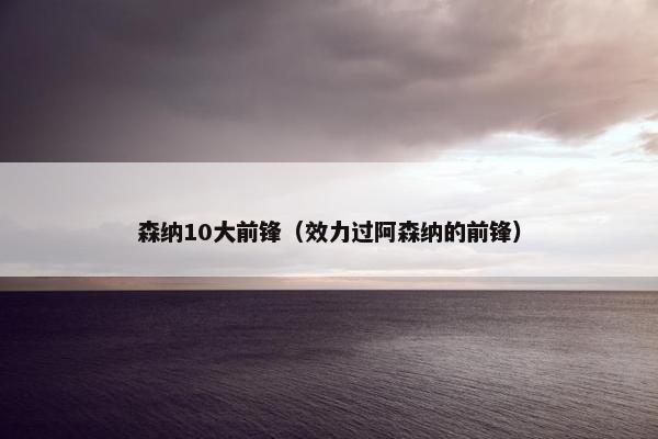 森纳10大前锋（效力过阿森纳的前锋）