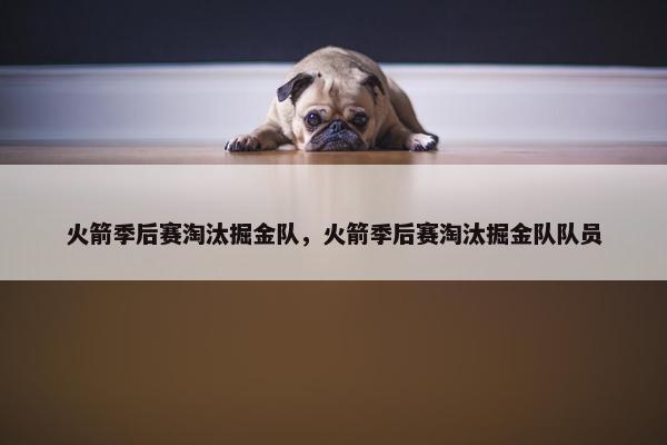火箭季后赛淘汰掘金队，火箭季后赛淘汰掘金队队员