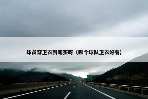 球员穿卫衣到哪买呀（哪个球队卫衣好看）