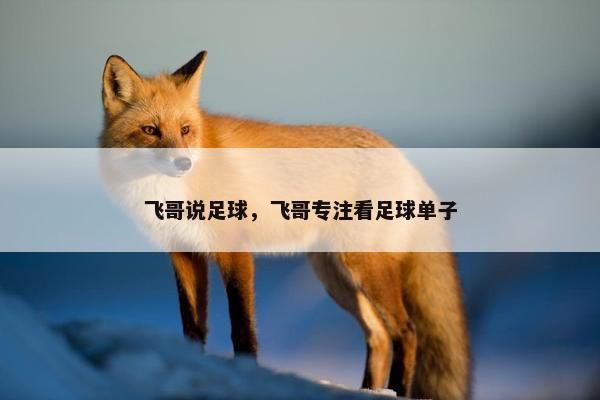 飞哥说足球，飞哥专注看足球单子