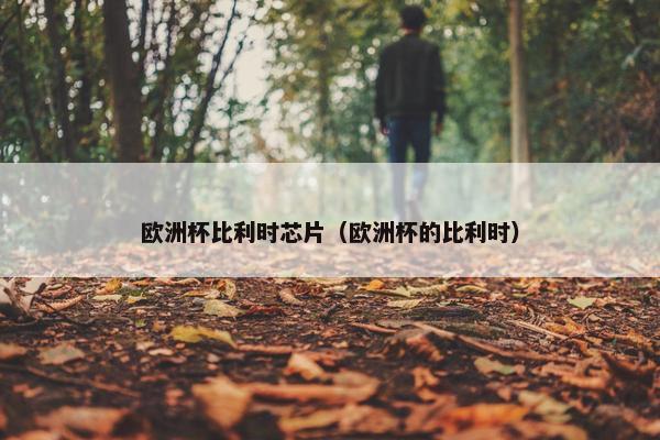 欧洲杯比利时芯片（欧洲杯的比利时）