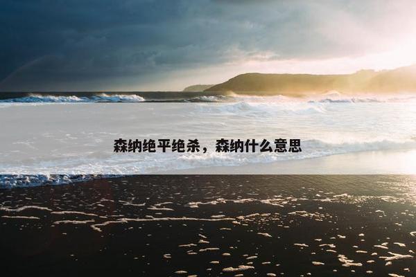 森纳绝平绝杀，森纳什么意思