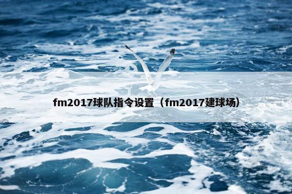 fm2017球队指令设置（fm2017建球场）
