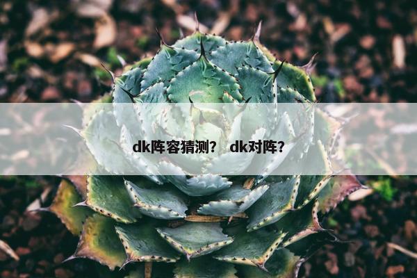 dk阵容猜测？ dk对阵？
