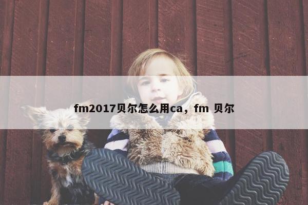 fm2017贝尔怎么用ca，fm 贝尔