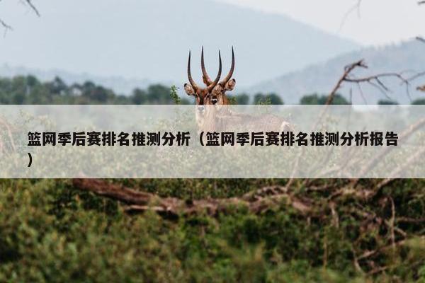 篮网季后赛排名推测分析（篮网季后赛排名推测分析报告）