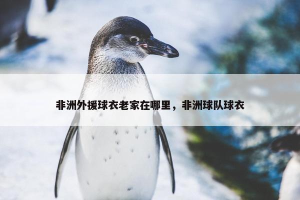 非洲外援球衣老家在哪里，非洲球队球衣