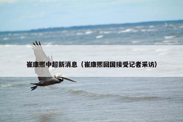 崔康熙中超新消息（崔康熙回国接受记者采访）