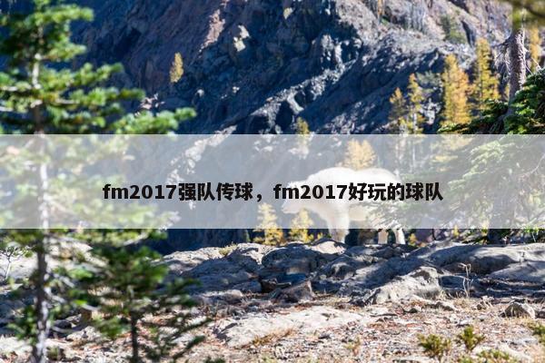 fm2017强队传球，fm2017好玩的球队