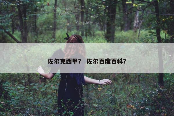 佐尔克西甲？ 佐尔百度百科？