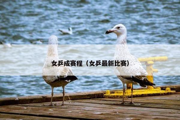 女乒成赛程（女乒最新比赛）