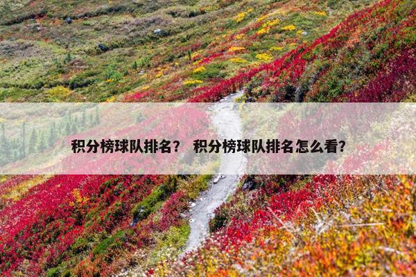 积分榜球队排名？ 积分榜球队排名怎么看？