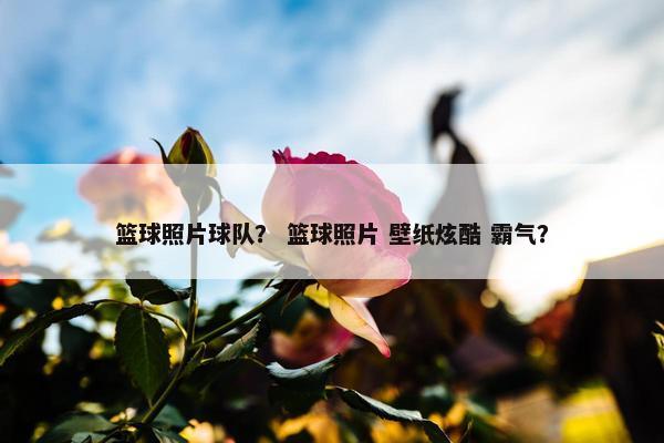 篮球照片球队？ 篮球照片 壁纸炫酷 霸气？