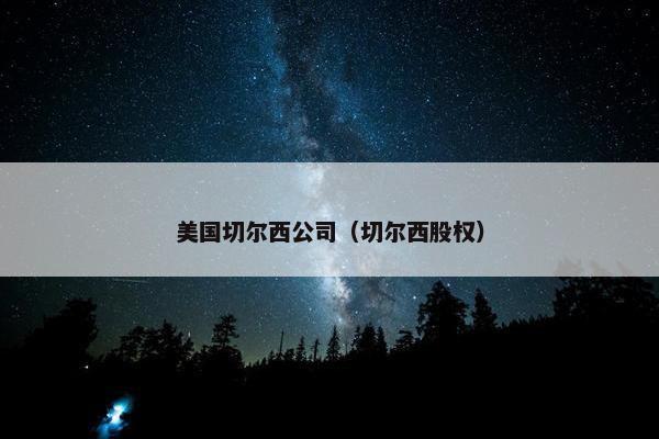 美国切尔西公司（切尔西股权）