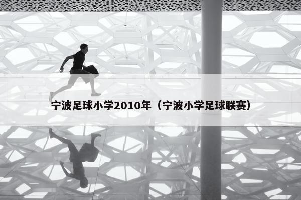宁波足球小学2010年（宁波小学足球联赛）