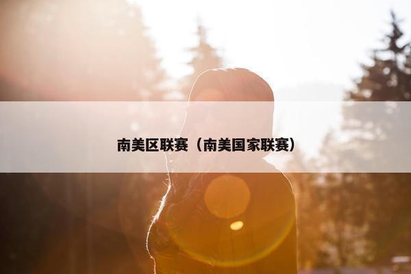 南美区联赛（南美国家联赛）